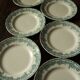 Lot 8 flat plates Terre de Fert vert Fleurs Argenton Saint Amand