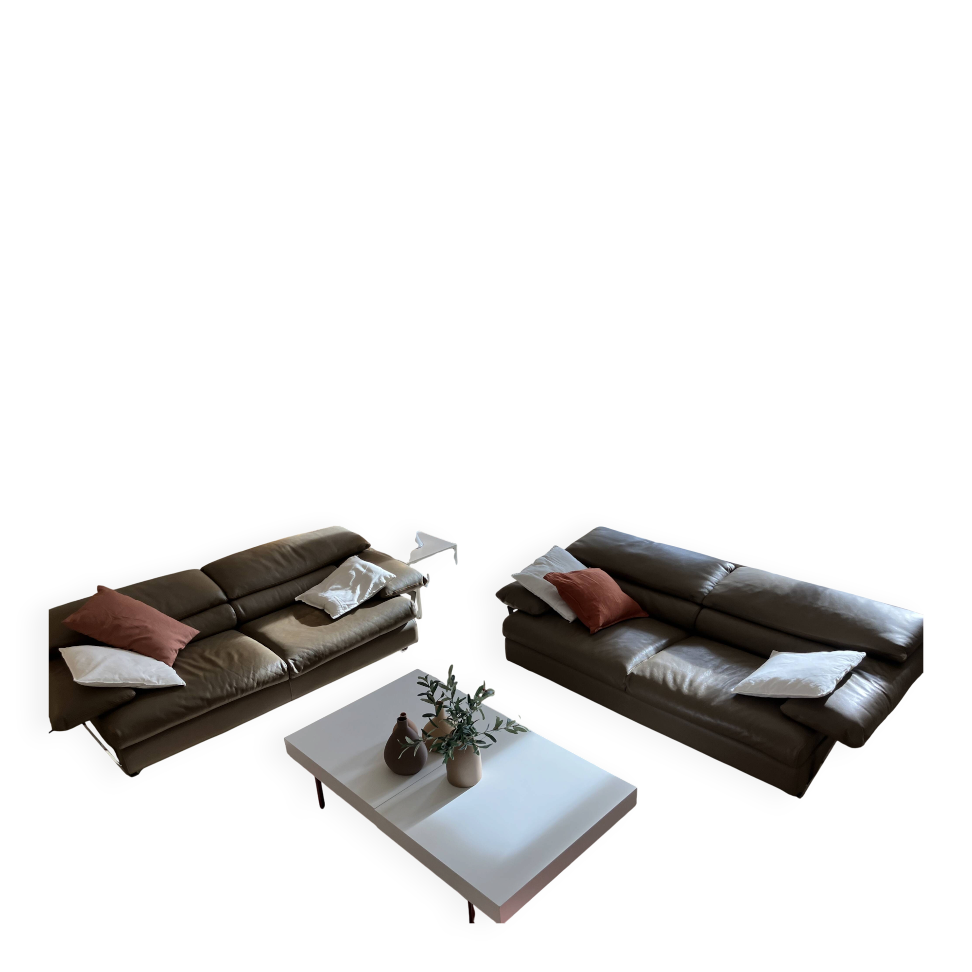 Canapés roche bobois