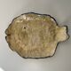 Petit plat poisson artisanal