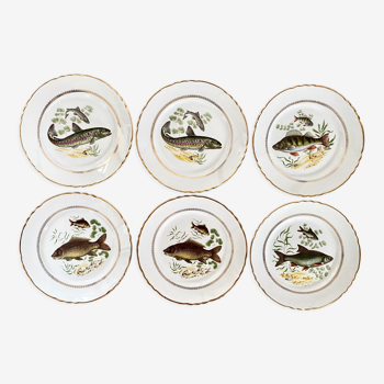 6 fish plates