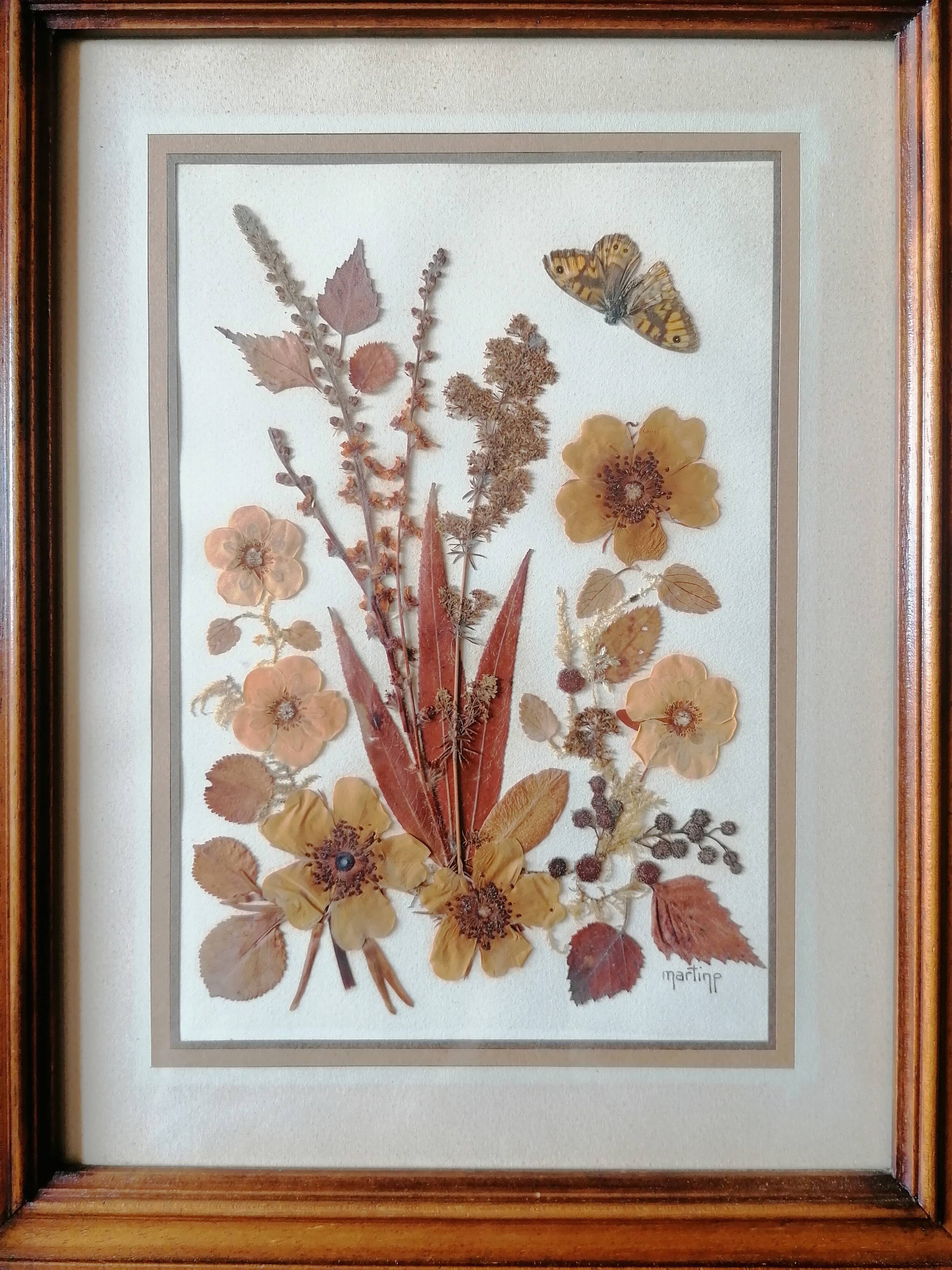 Ancient herbarium