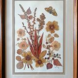 Ancient herbarium