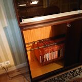 Vintage secretary/bookcase