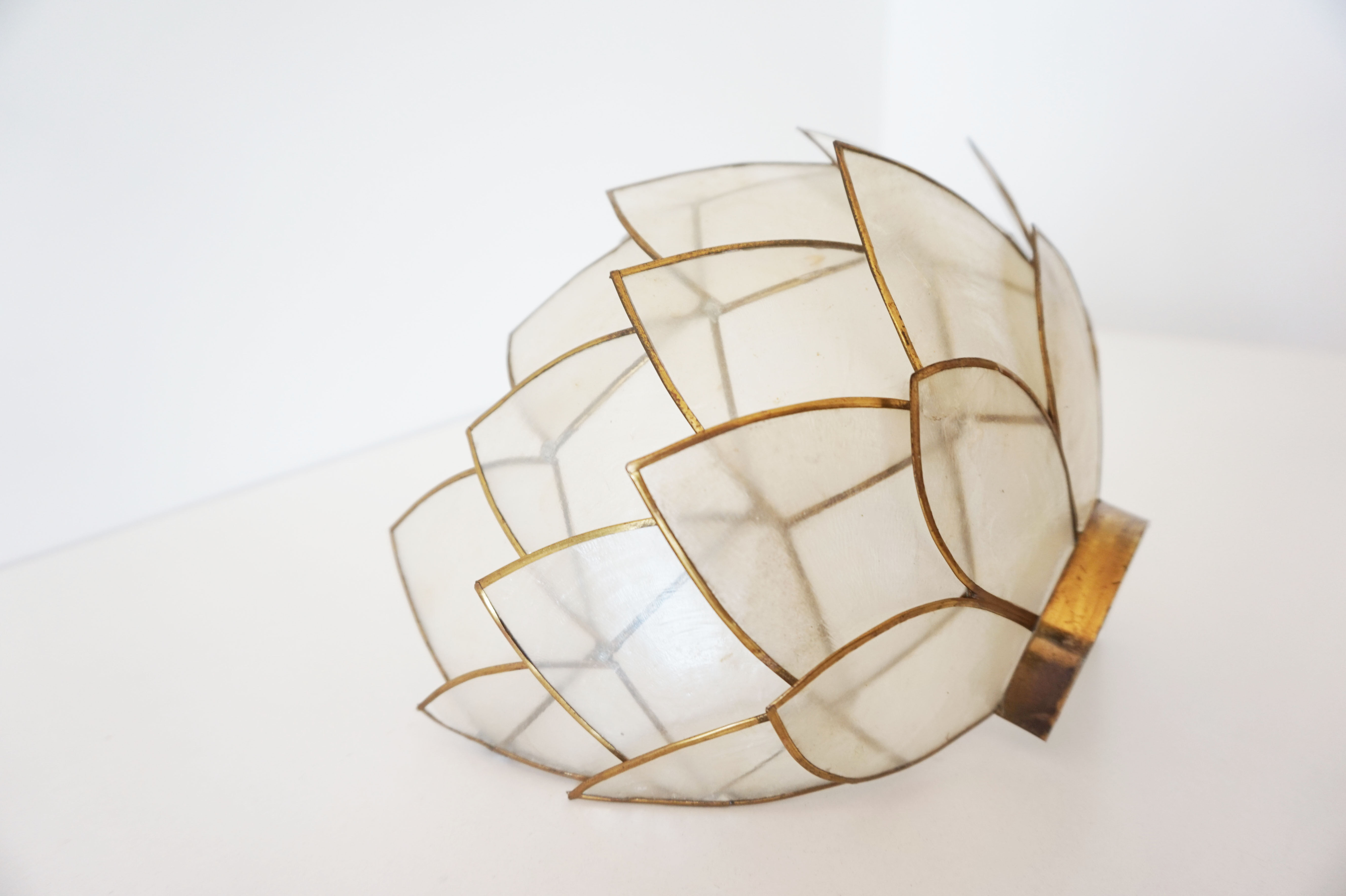 Vintage mother-of-pearl petals sconce