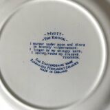 Myott English porcelain plates