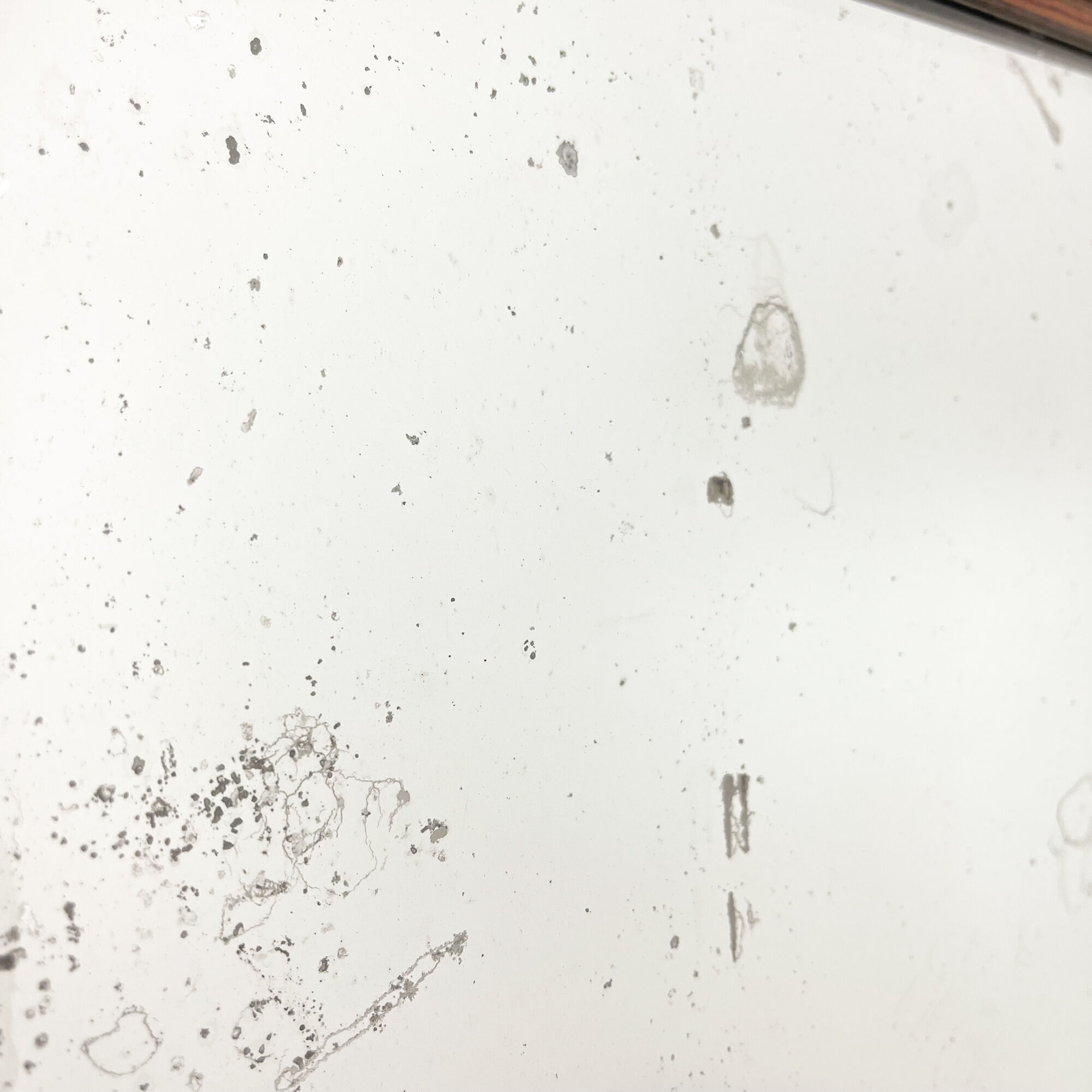 Antique foxed mirror square