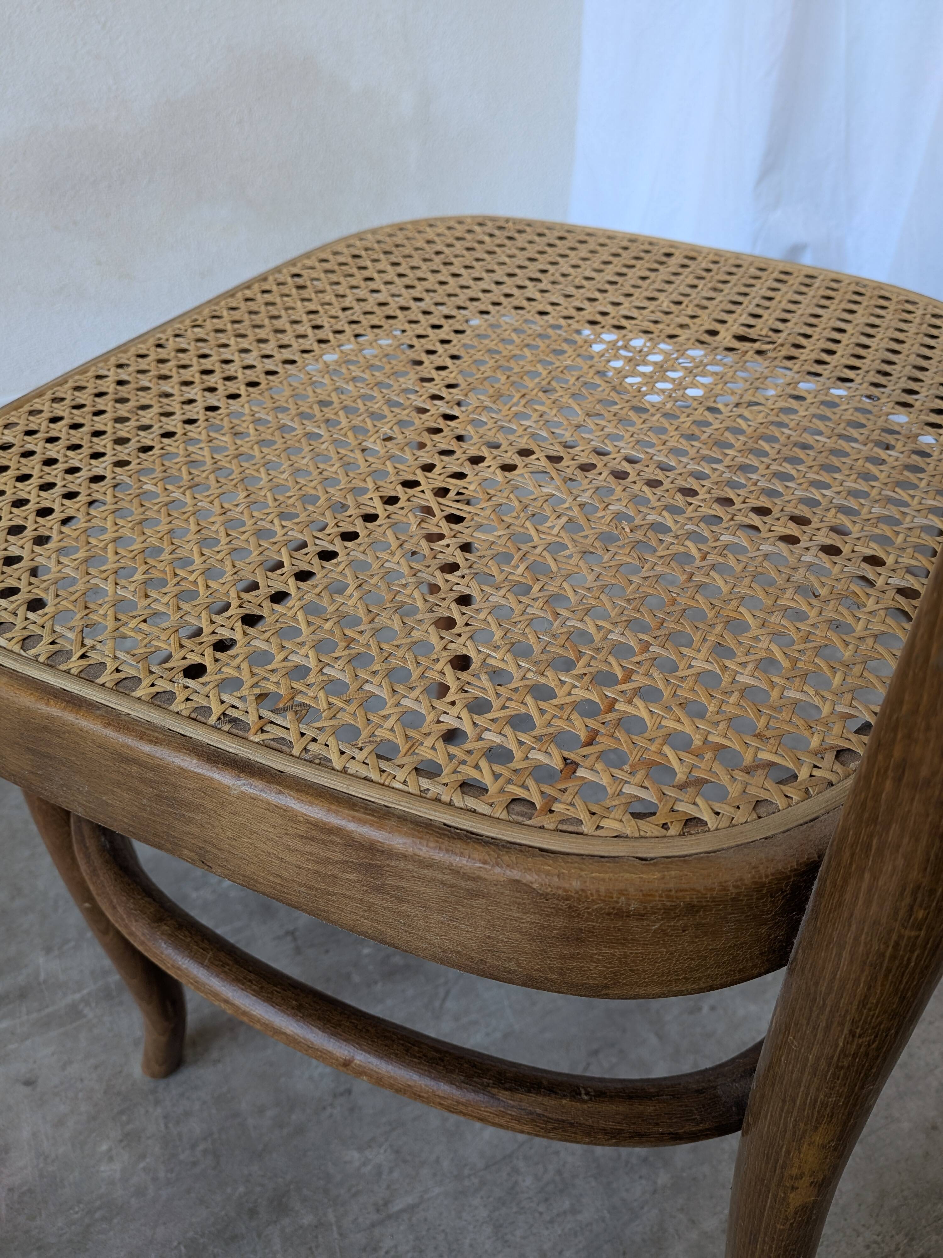 Vintage High Back Bentwood Cane Dining Chair / Thonet Style / Torn Seat