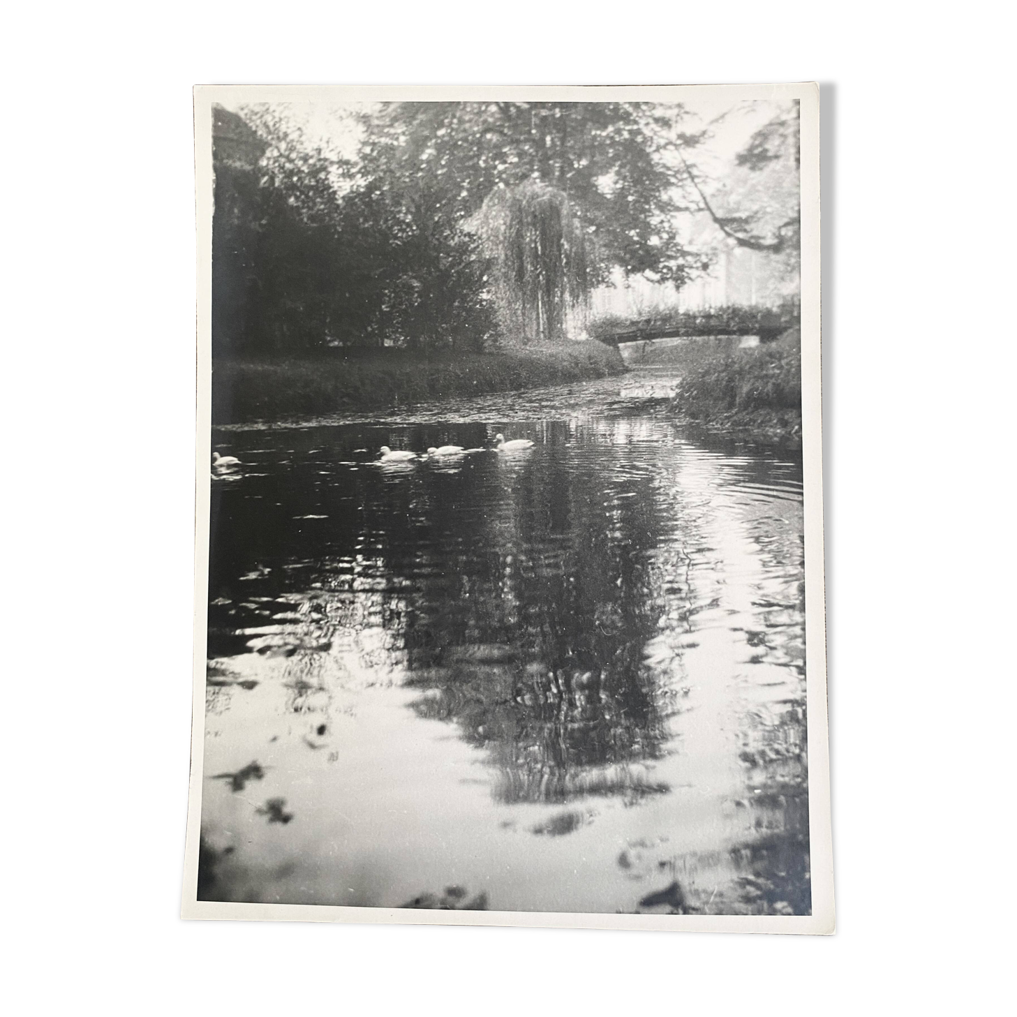 Garden and lake photo, ca 1960