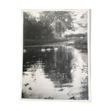 Garden and lake photo, ca 1960