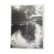 Garden and lake photo, ca 1960