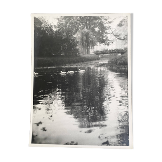 Garden and lake photo, ca 1960