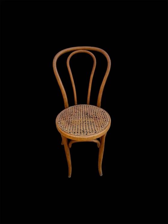 Bistro chair Horgen Glaris in curved wood and caning, Switzerland, circa 1900.