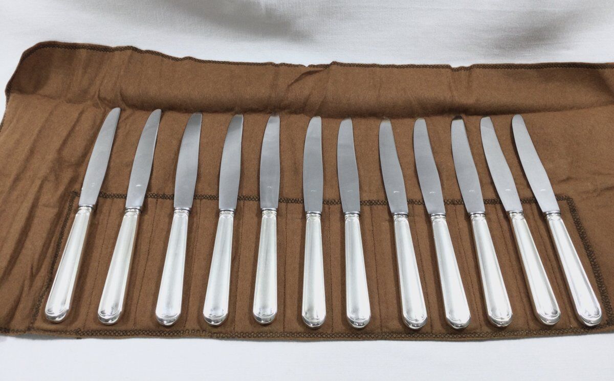 12 entremet knives silver metal net