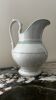White toilet jug with green trim