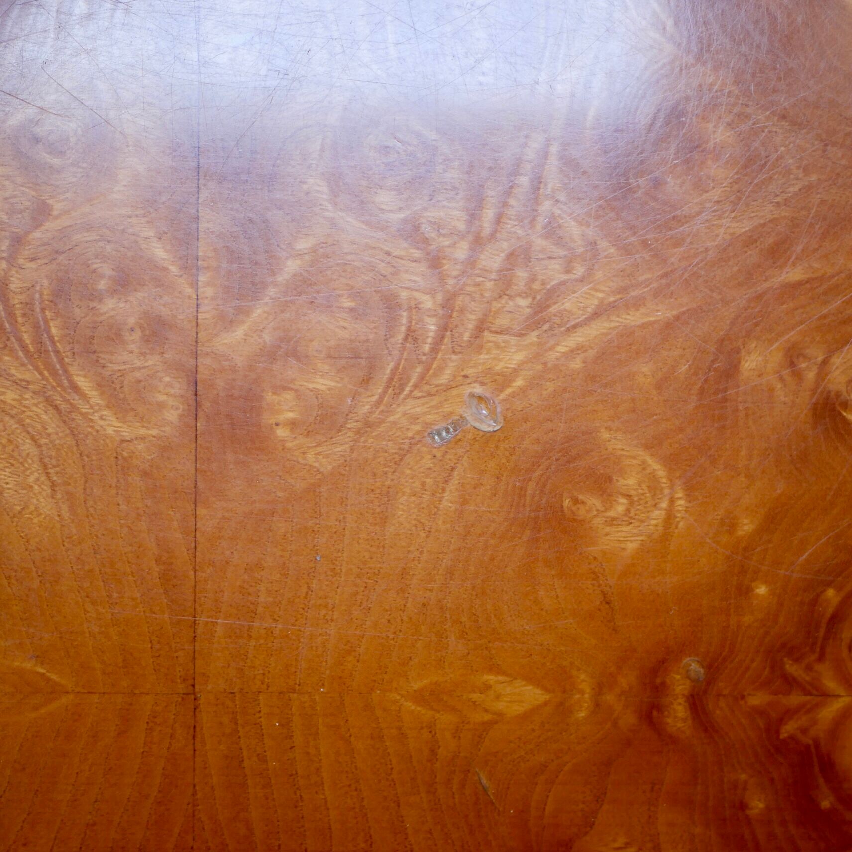 Elm magnifying glass coffee table