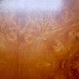 Elm magnifying glass coffee table