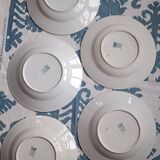 5 deep plates from Saint Amand ironstone