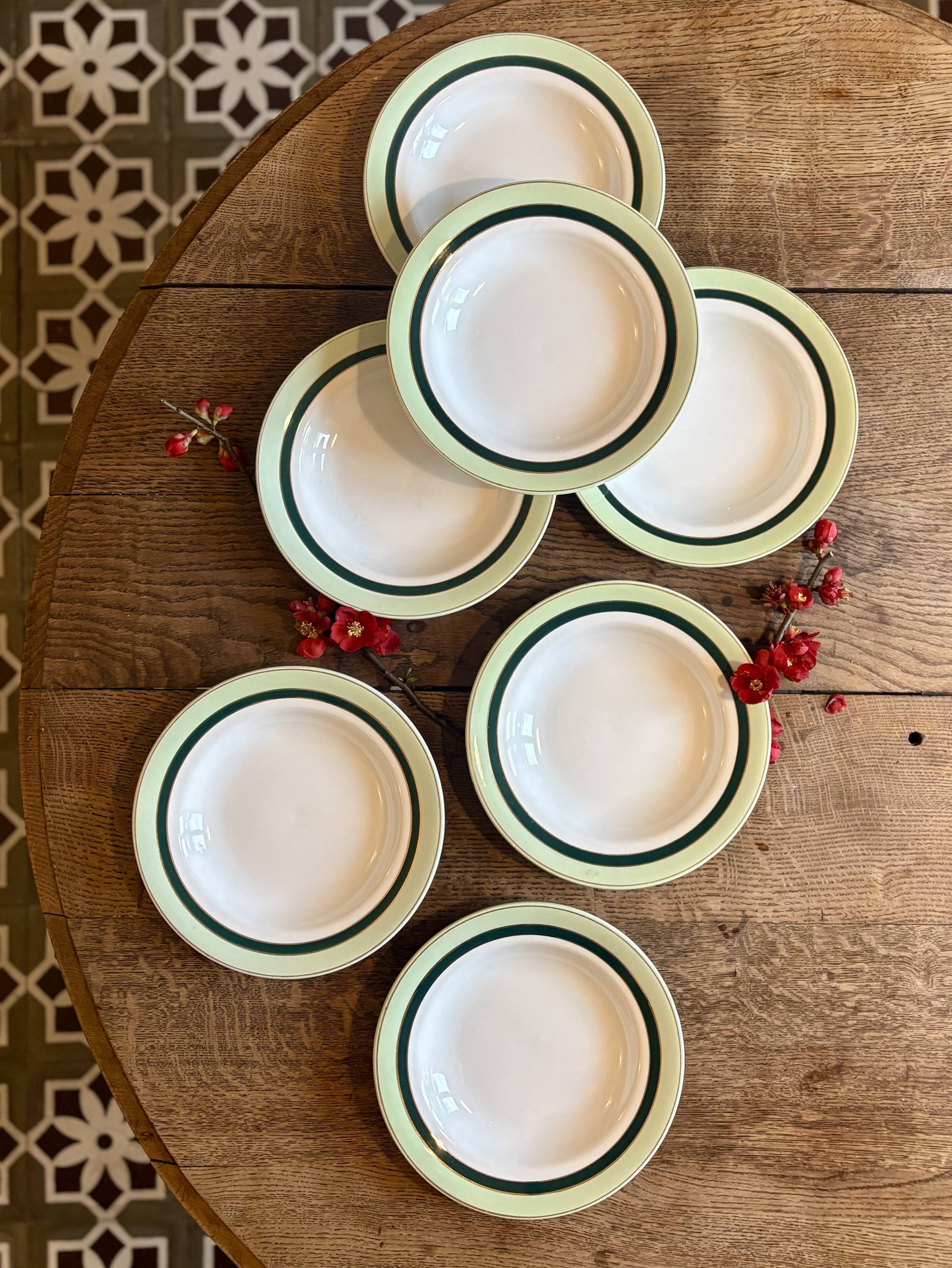 Set of 7 antique deep plates Salins - green Texas -