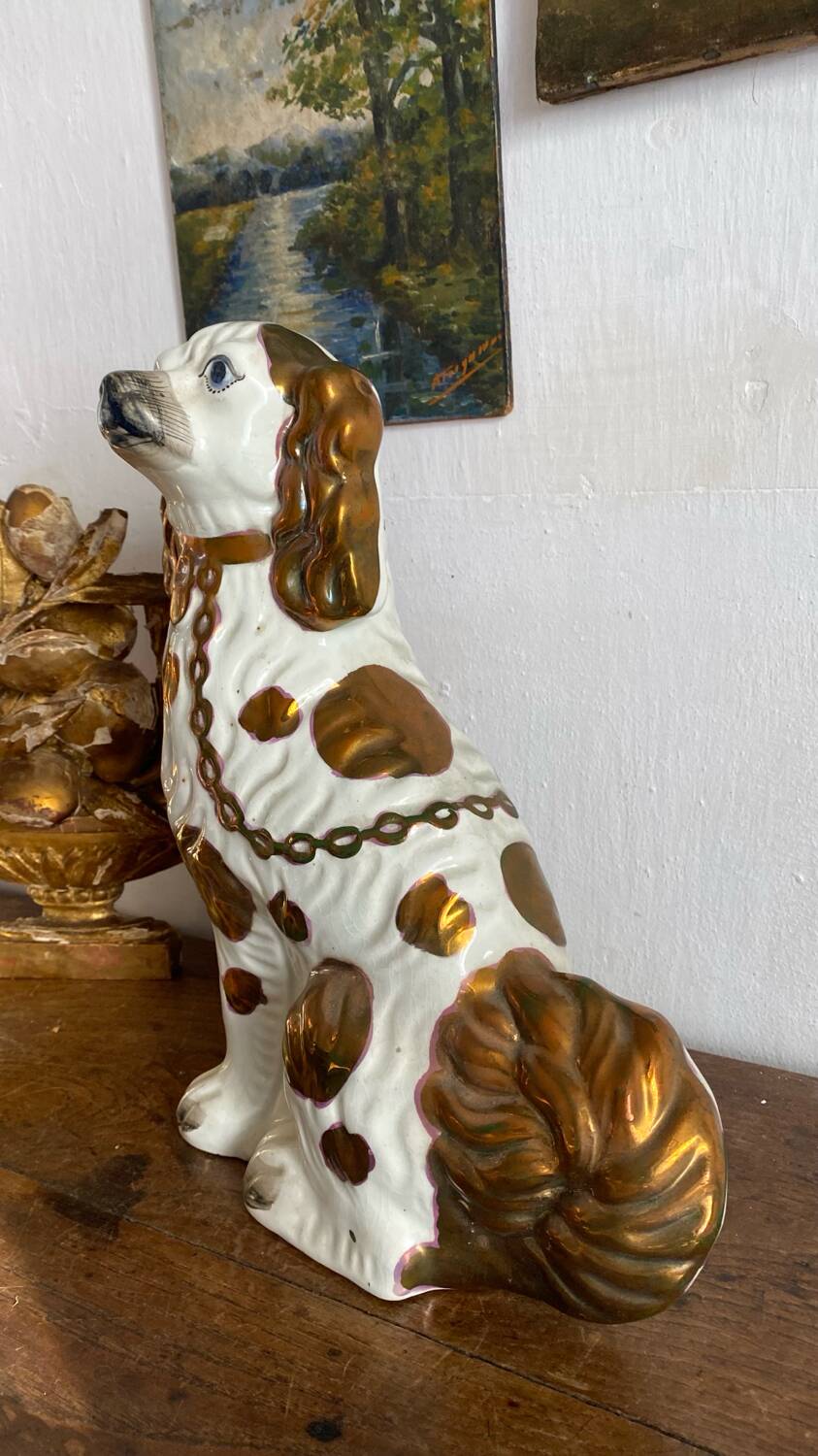 Chien Straffordshire , cavalier King, Charles