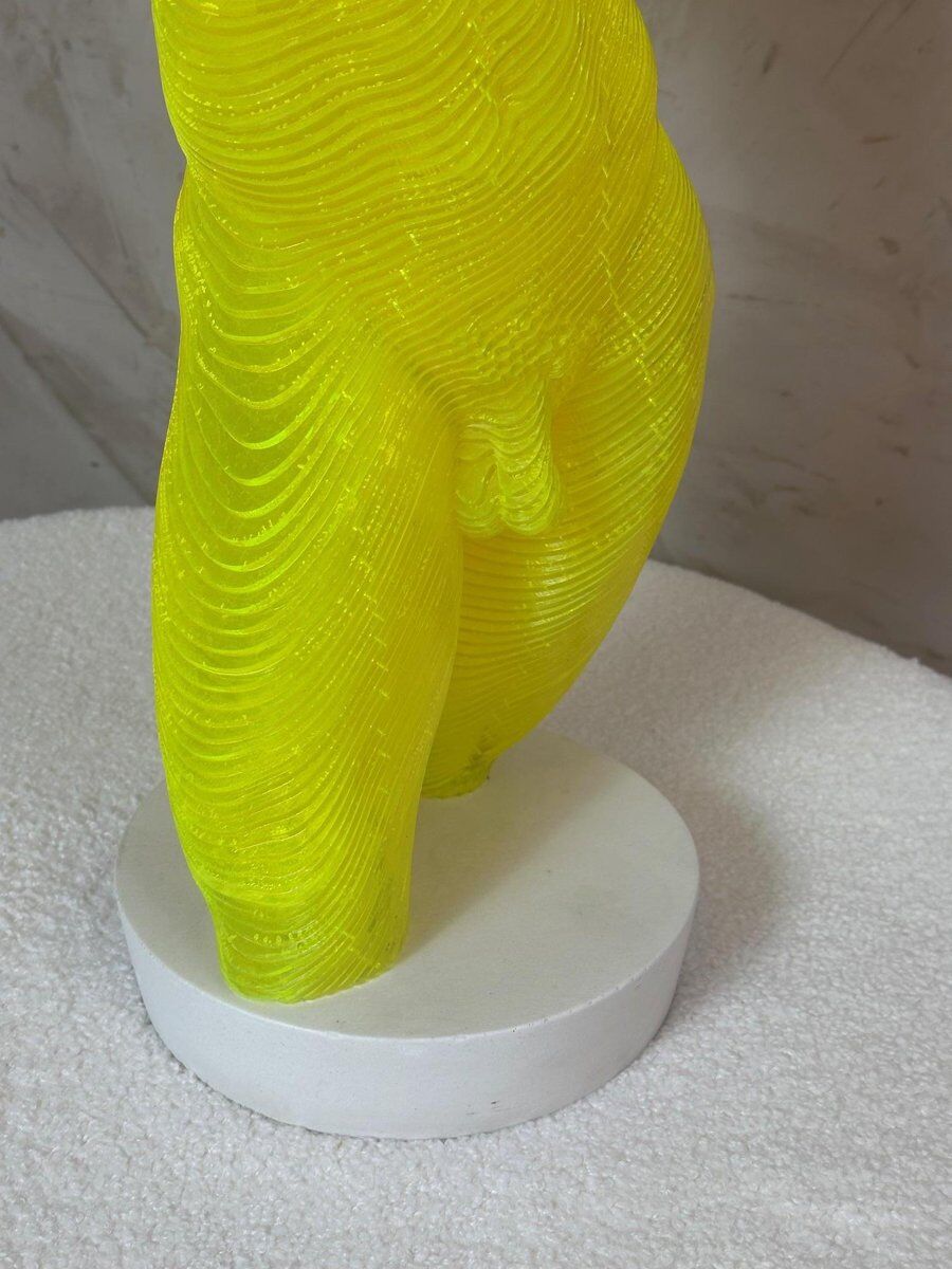 Acrylic male bust by Olivier Duhamel