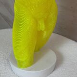 Acrylic male bust by Olivier Duhamel