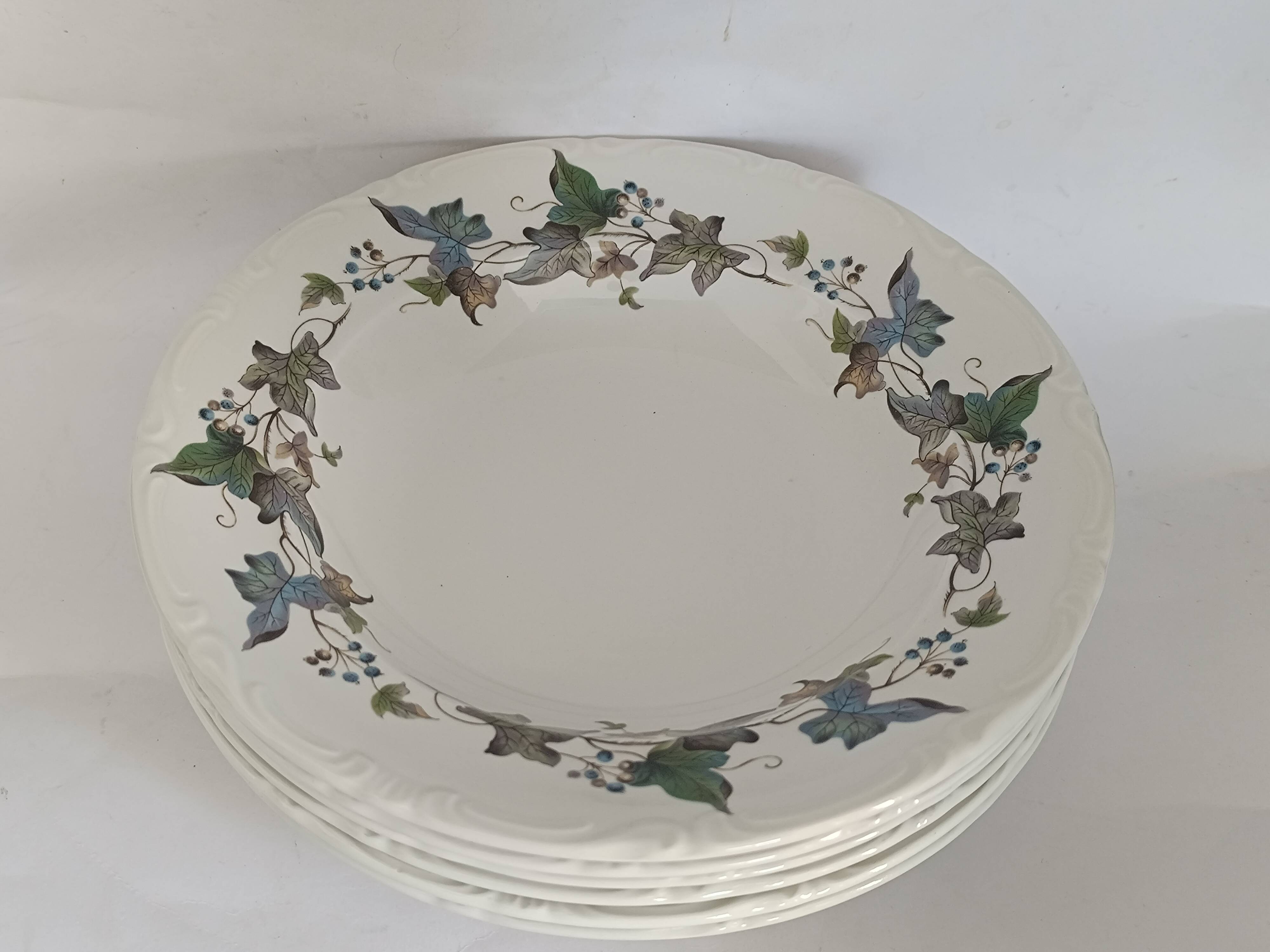 Royal China Vigo porcelain soup plates