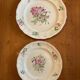 Set of 2 decorative floral plates