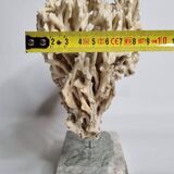 Antique White Coral on Grey Marble Base, 21 cm