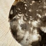 Dish in petrified wood
