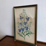 Botanical vintage illustration