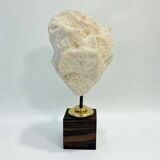 Antique natural white wave coral on wooden base cabinet of curiosities