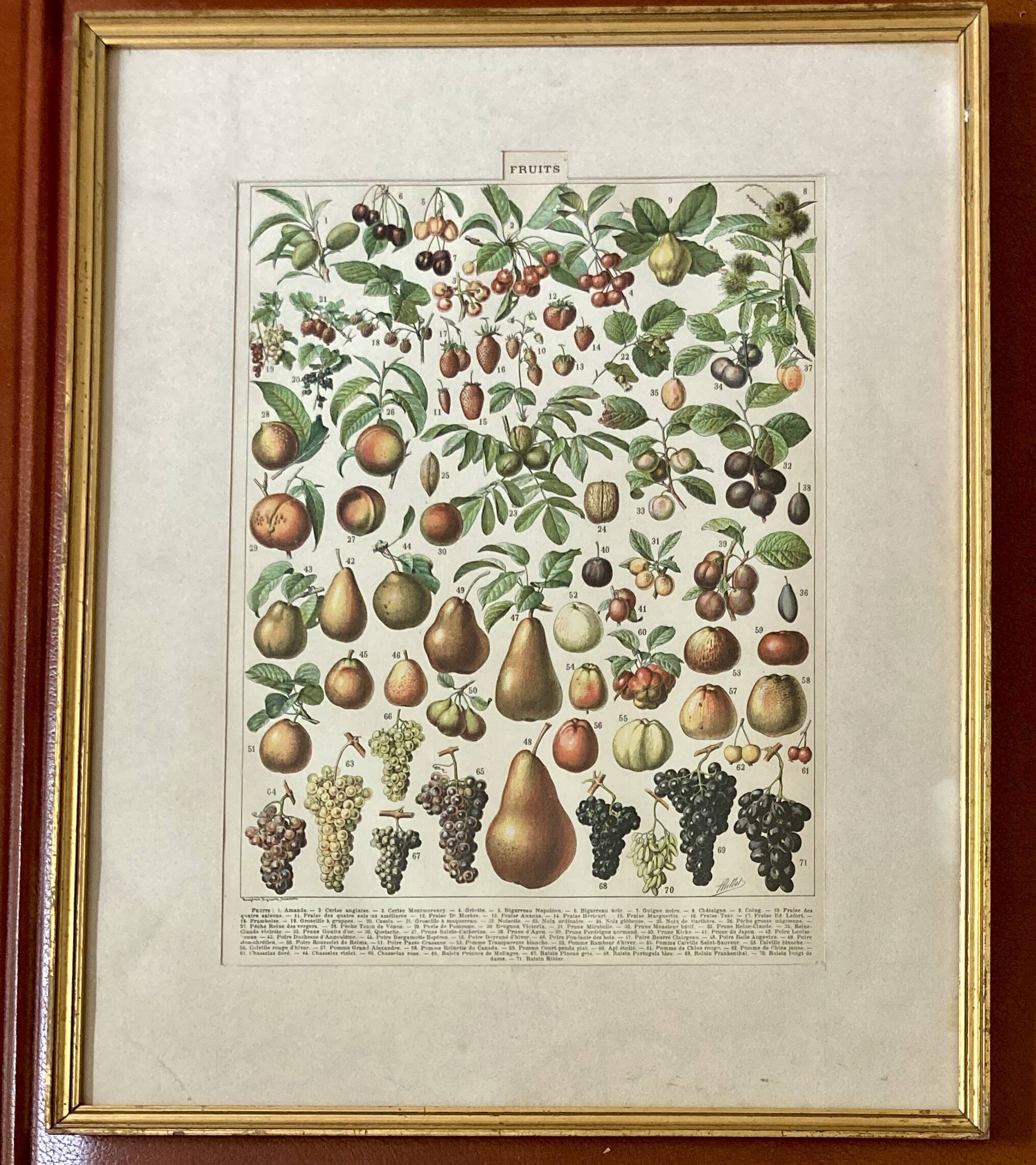 Decorative kitchen board - Fruit board - Golden frame