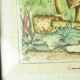 Pair of colorized mycological lithographs - Coprinus comatus, Psalliotta arvensis - 70s