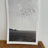 The flight