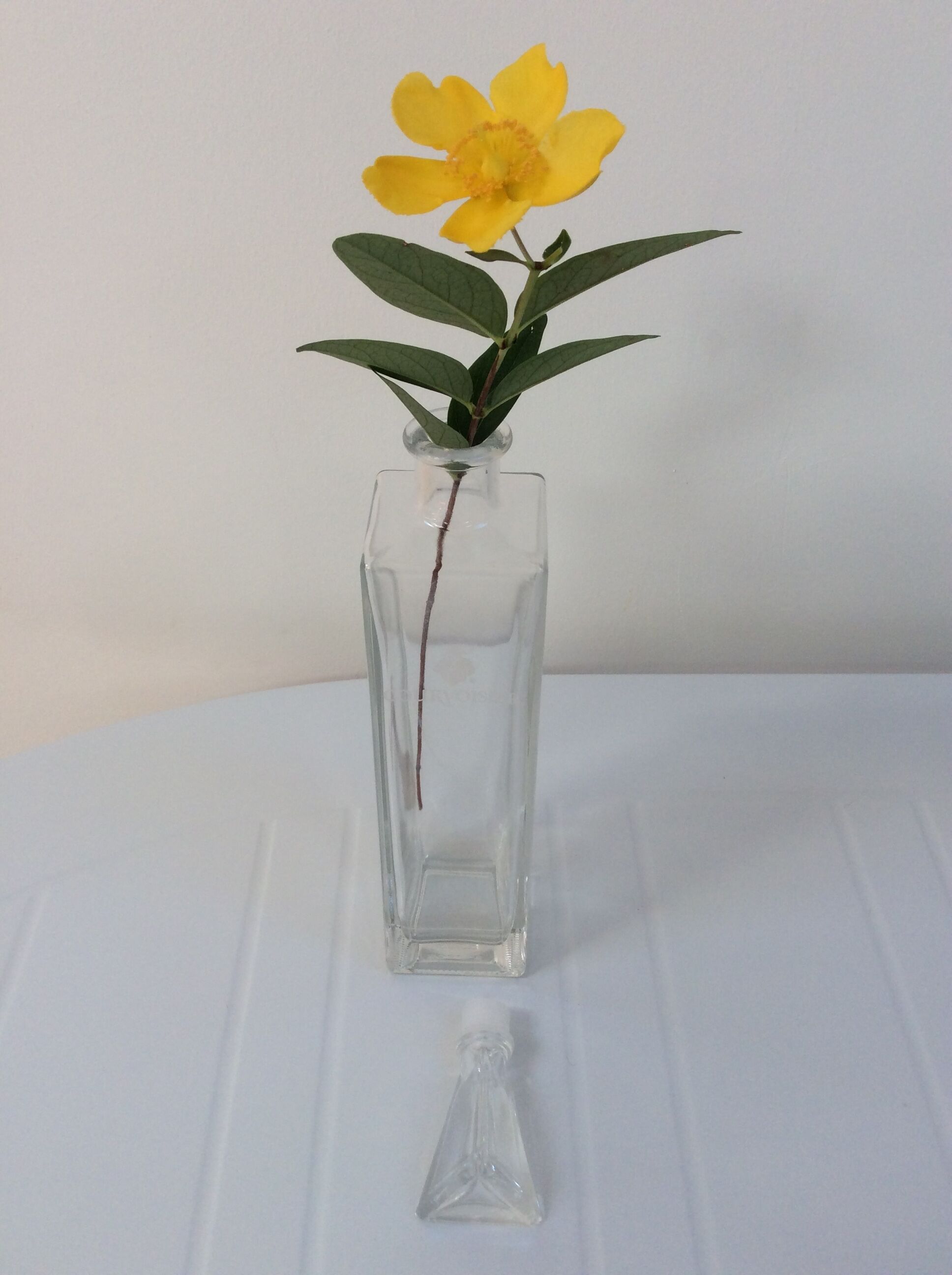 Decanter cognac
