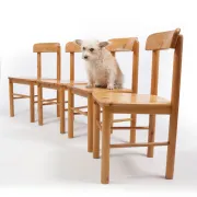 Set of 4 Danish pine chairs in Rainer Daumiller style – circa 1975