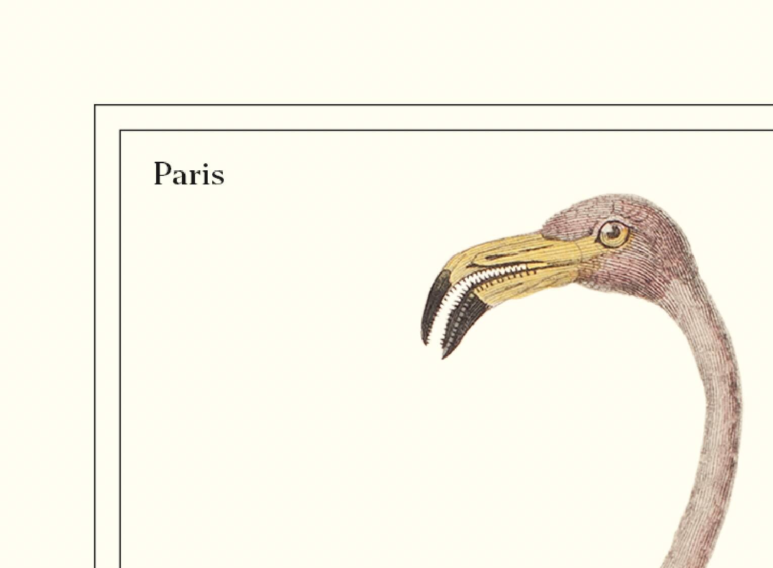 Lithograph engraving chimera animal framed, the flamoulpe 22x28 cm