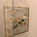 Herbarium