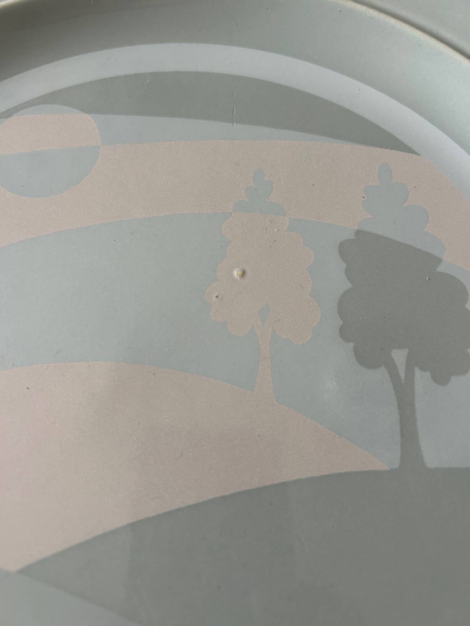 Earthenware dish from Salins les Bains