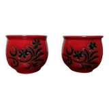 cups