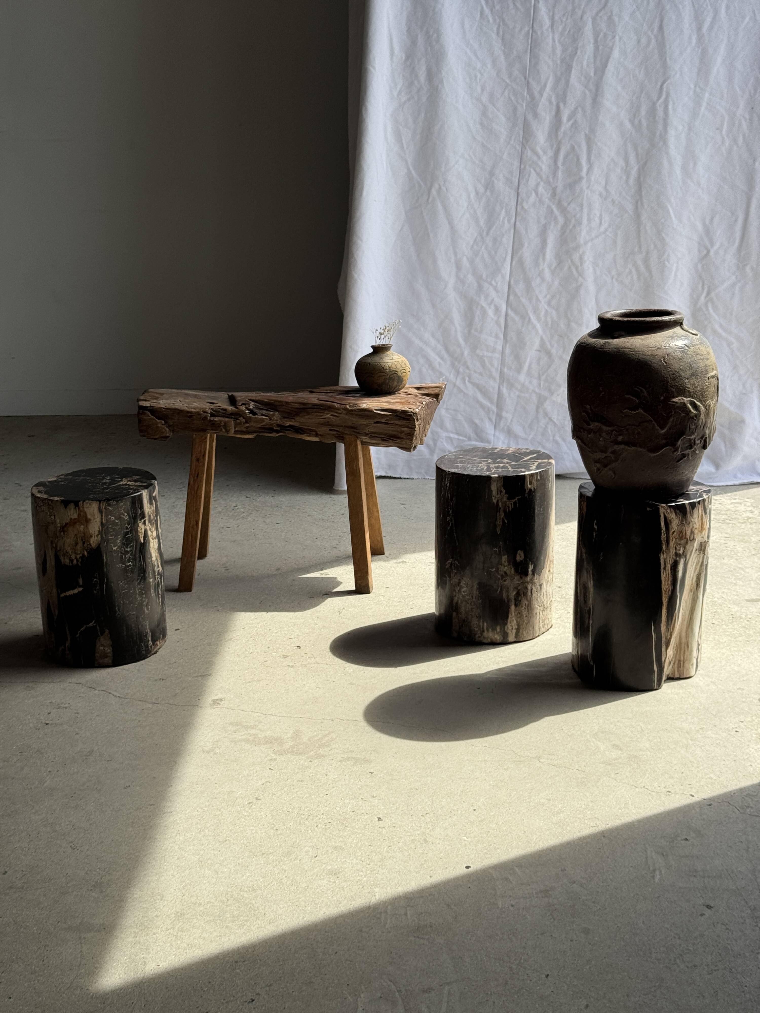 Black petrified wood side table with beige side H35 D24 - 3352