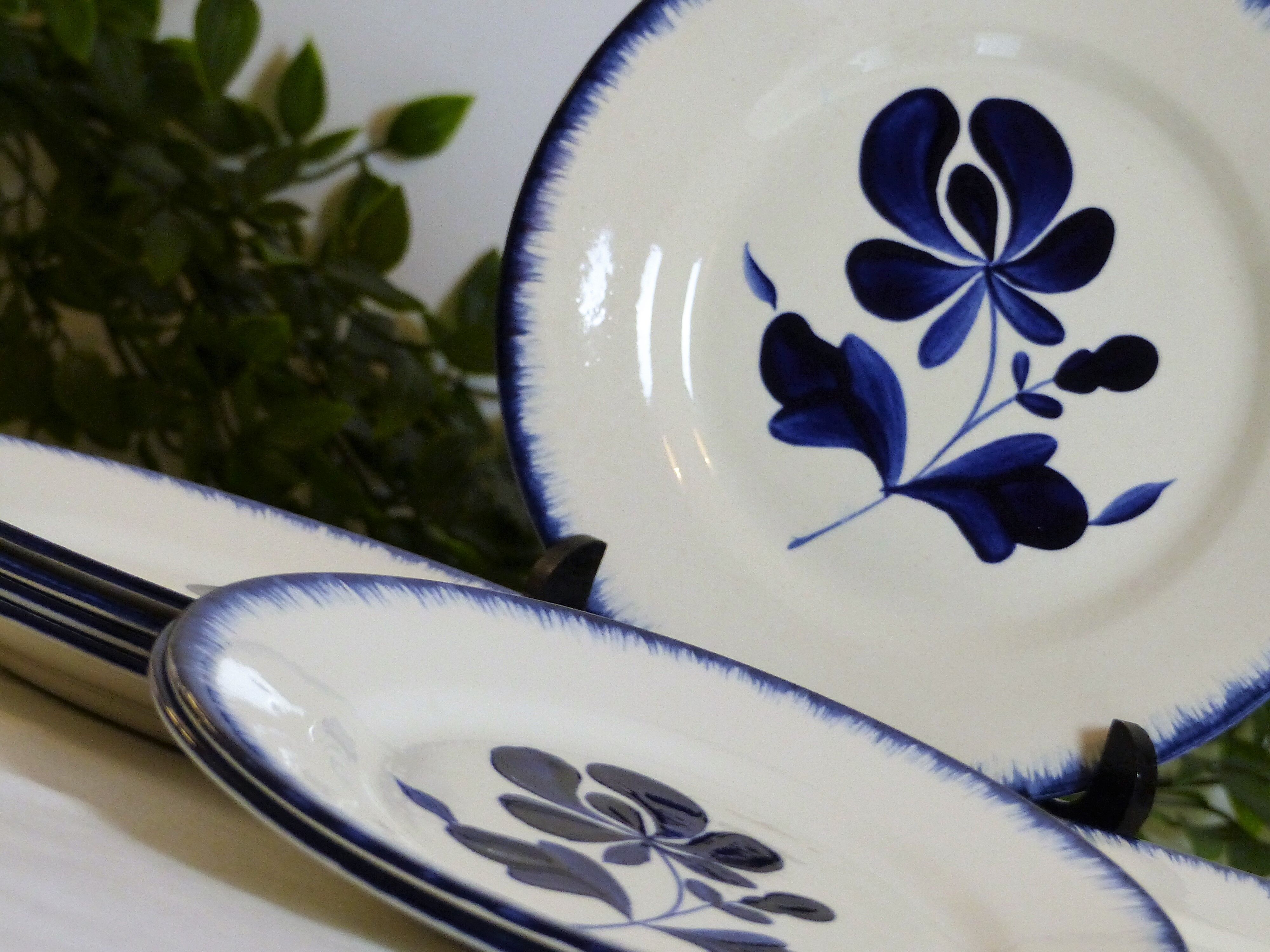 10 Salins-Les-Bains dessert plates