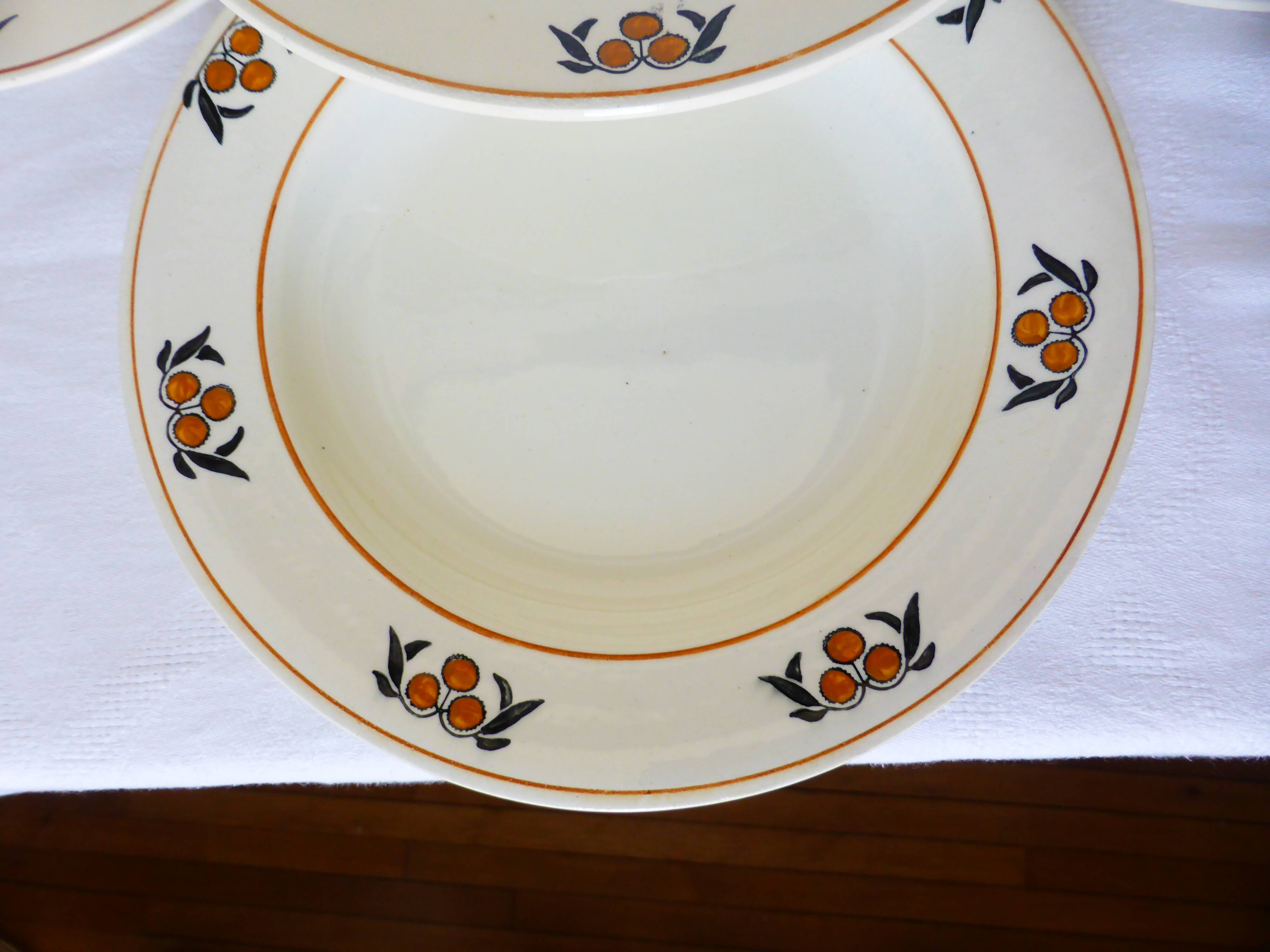 6 hollow plates in iron earth of the Salins model Mimosa 210745