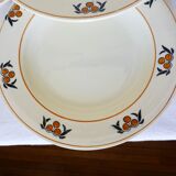 6 hollow plates in iron earth of the Salins model Mimosa 210745