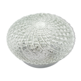 Molded glass ceiling lamp
