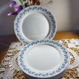6 flat plates Sarreguemines Oak model