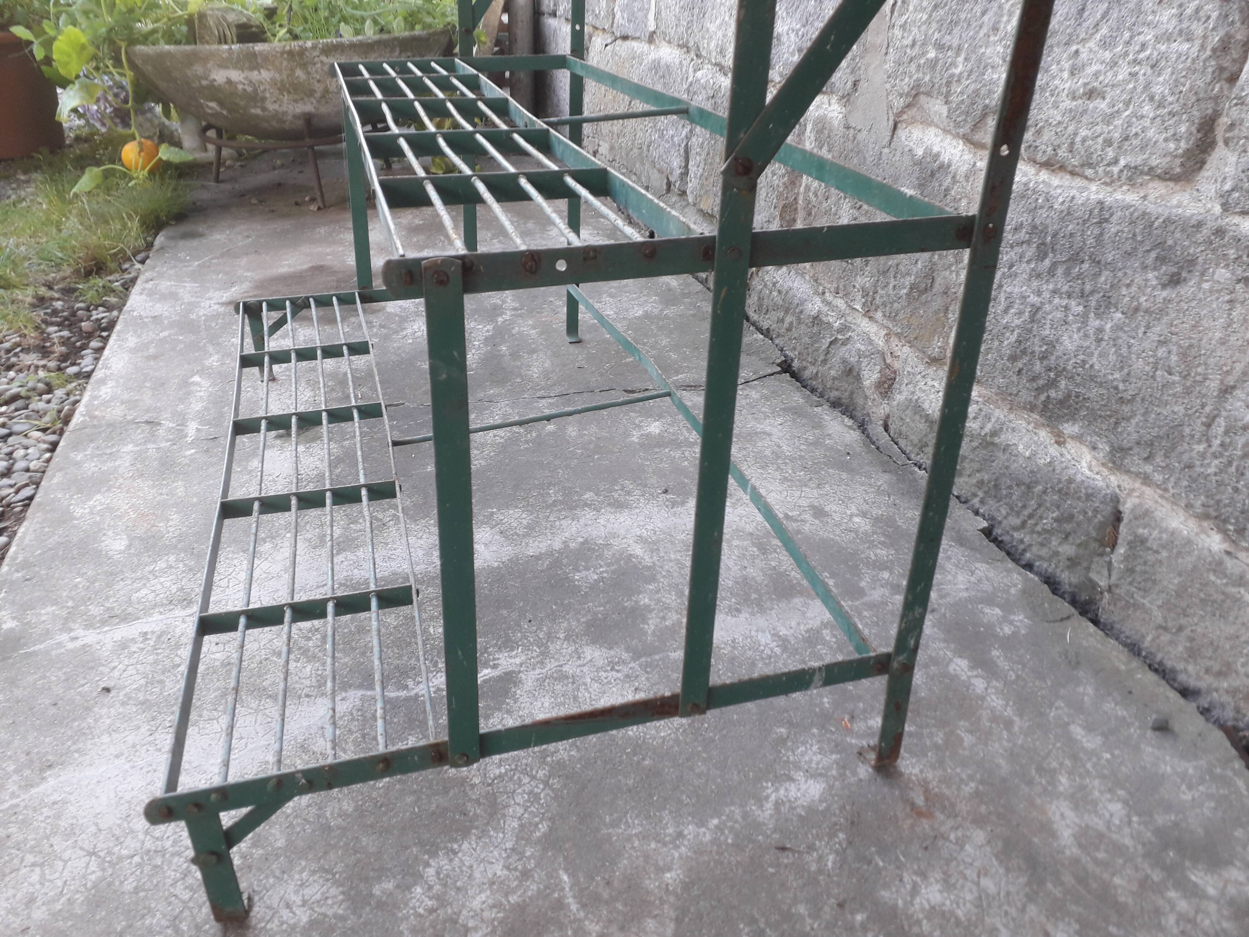 Shelf wear old plants