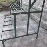 Shelf wear old plants