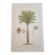 La Roche Laffitte (Born in 1943) - Watercolour drawing on silk - Palm tree