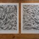 Lithographies originales sur les oiseaux de basse-cour et les oiseaux de paradis